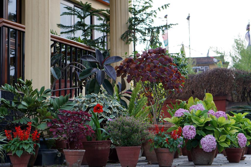 קטמנדו Swayambhu View Guest House מראה חיצוני תמונה
