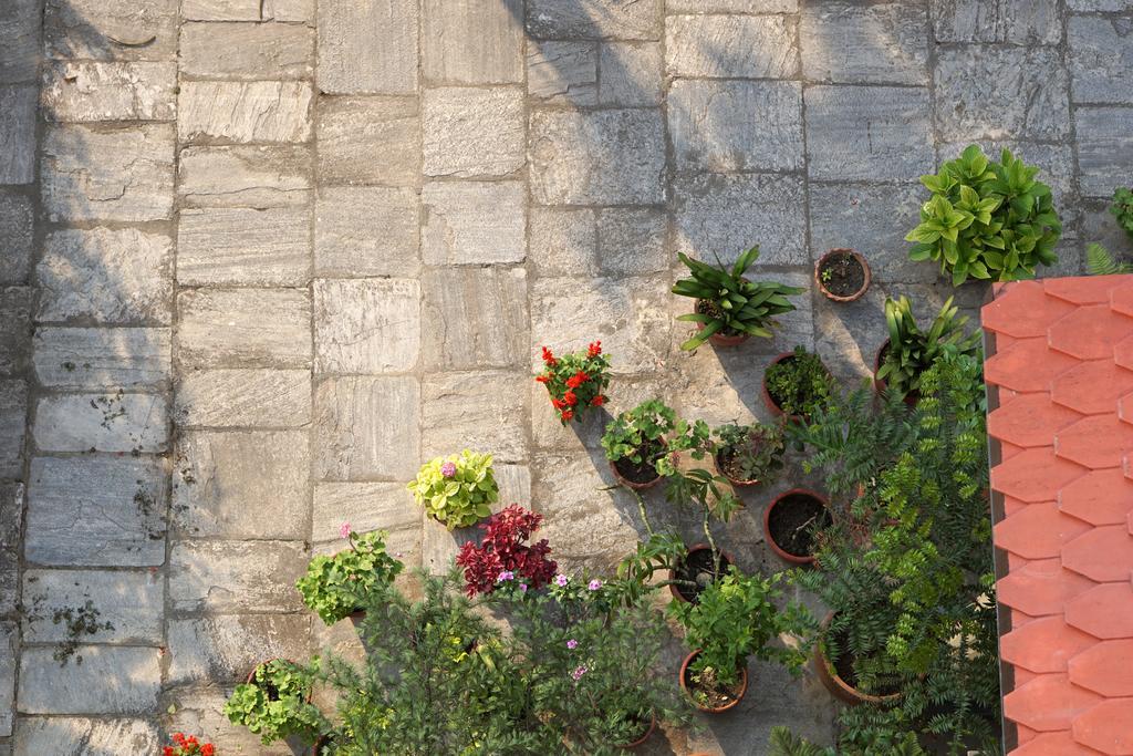 קטמנדו Swayambhu View Guest House מראה חיצוני תמונה